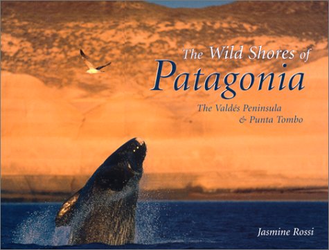 Wild Shores Of Patagonia