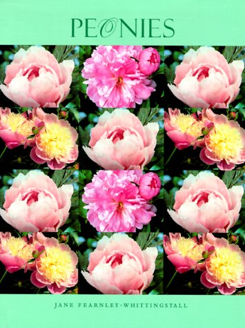 Peonies