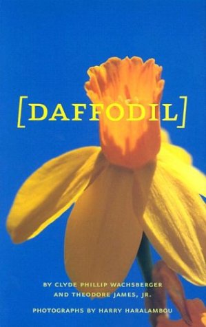Daffodil