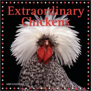 Extraordinary Chickens 2009 Wall Calendar