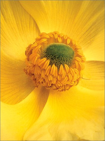 Flowers To Z Journal