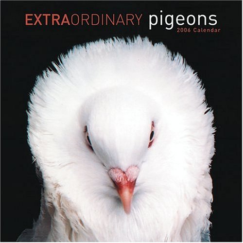 Extraordinary ** Cancelled *** Pigeons 2006 Wall Cal