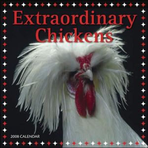 Extraordinary Chickens 2008 Wall Calendar