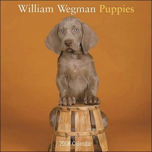 William Wegman Puppies 2008 Wall Calendar