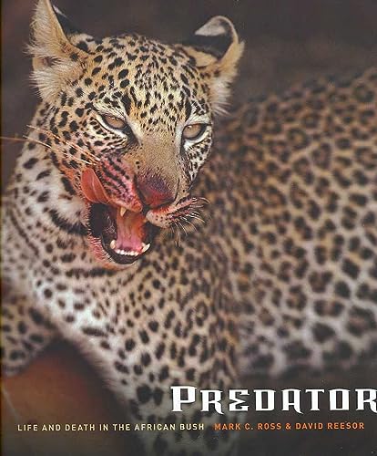 Predator