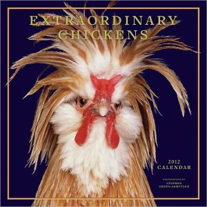 Extraordinary Chickens 2012 Wall Calendar