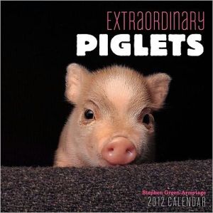 Extraordinary Piglets 2012 Mini Wall Calendar