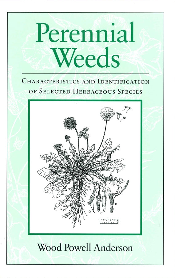 Perennial Weeds