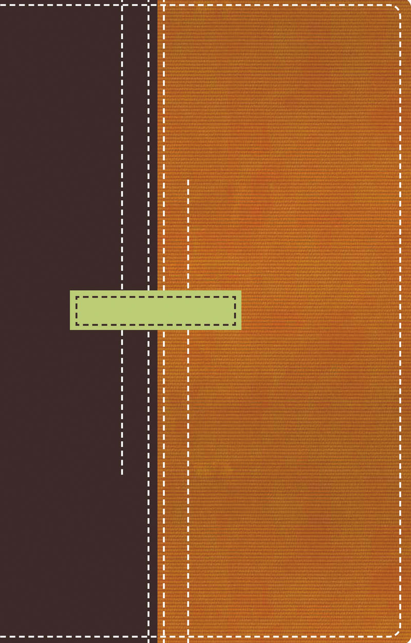 RVR60, Biblia de Referencia Thompson, Tamaño personal, Leathersoft, Dos tonos, Palabras de Jesús en Rojo