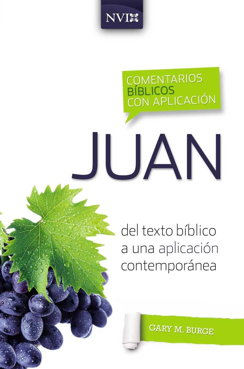 Comentario bíblico con aplicación NVI Juan: Del texto bíblico a una aplicación contemporánea