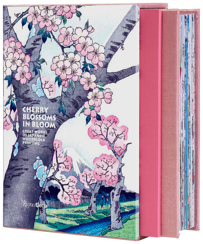 Cherry Blossoms in Bloom