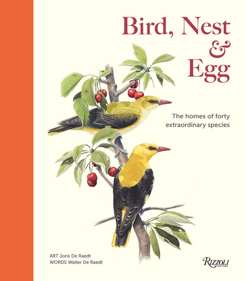 Bird, Nest & Egg