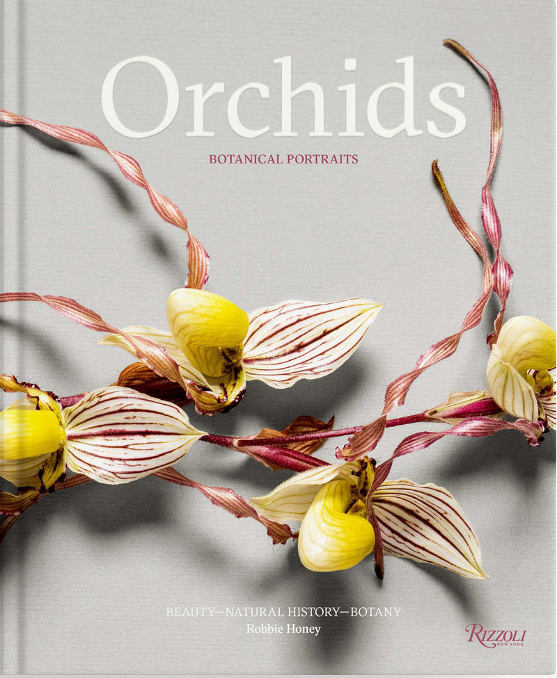 Orchids: Botanical Portraits:Beauty, Natural History, Botany