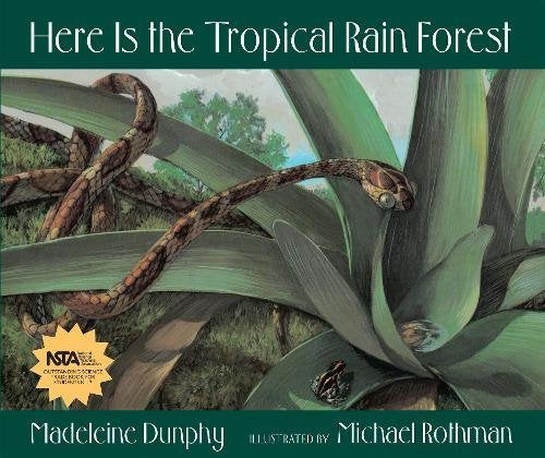 Library Book: Here Is the Tropical Rain Forest