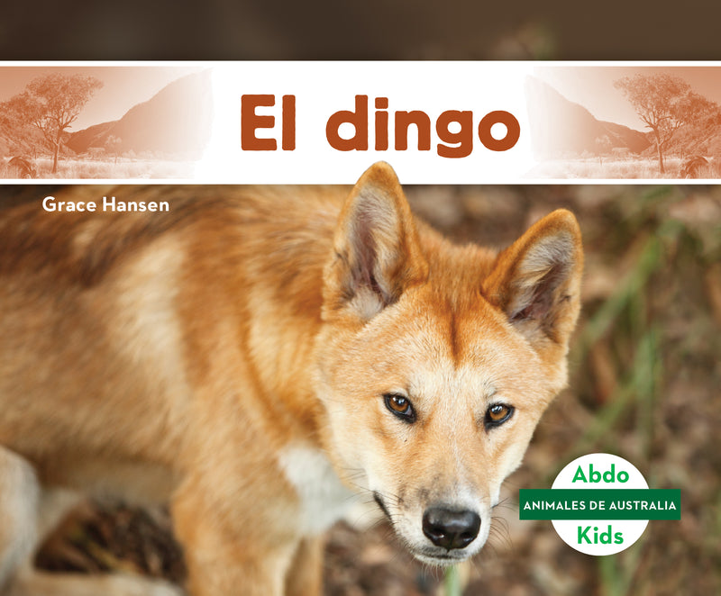 El dingo (Dingo)
