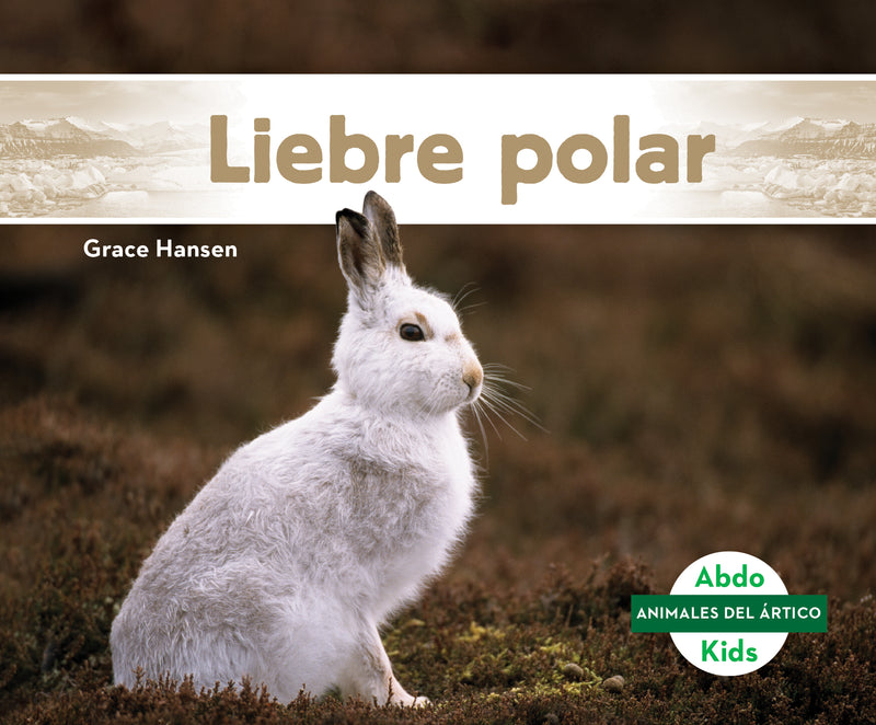 Liebre polar (Arctic Hare)