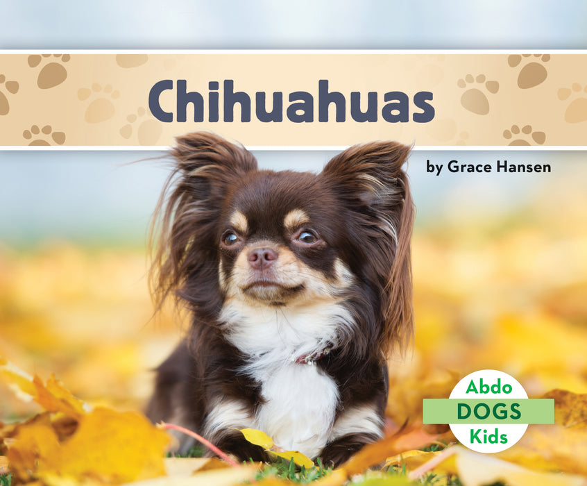 Chihuahuas