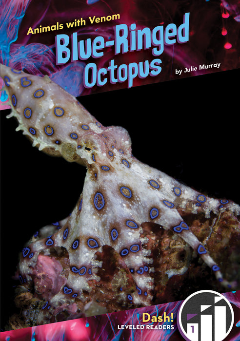 Blue-Ringed Octopus