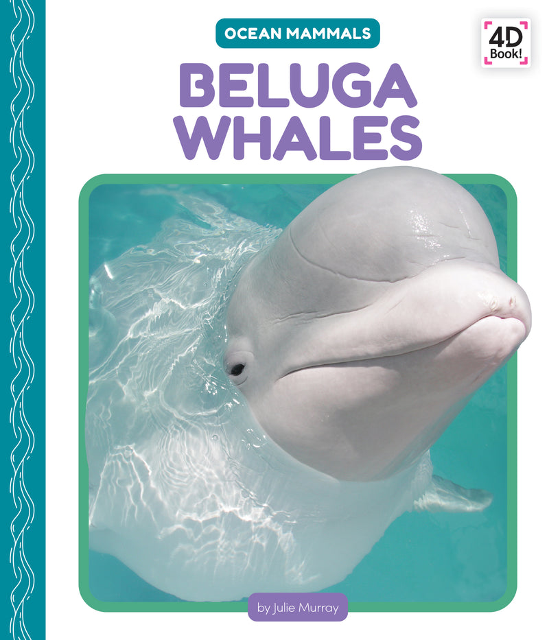 Beluga whales