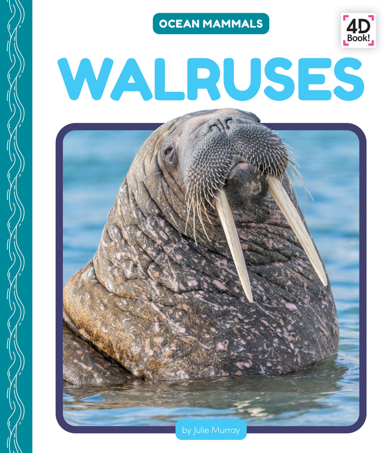 Walruses