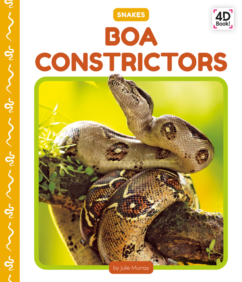 Boa constrictors