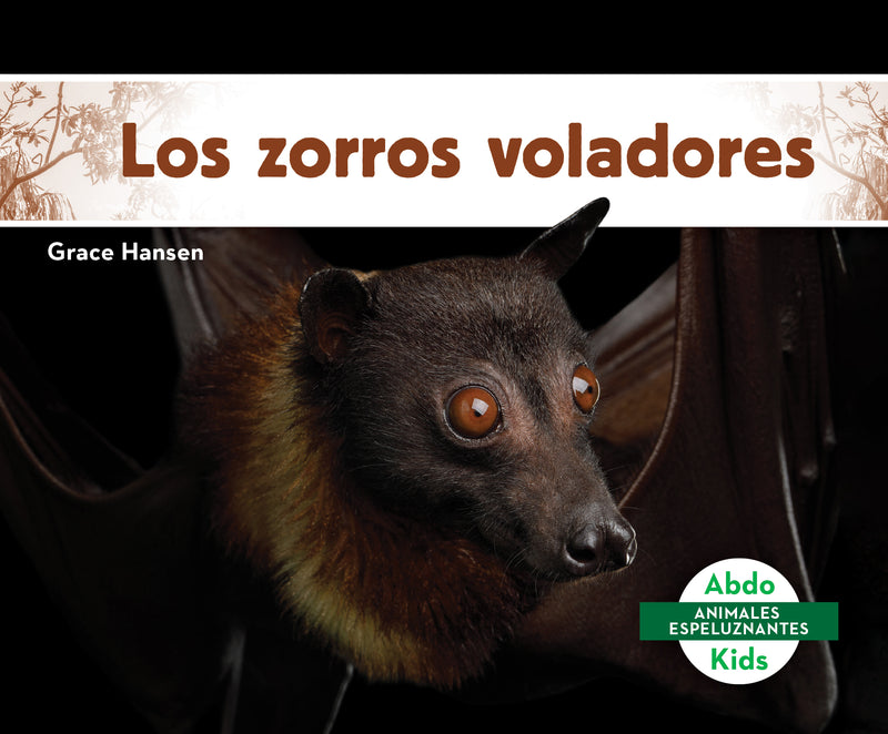 Los zorros voladores (Flying Foxes)