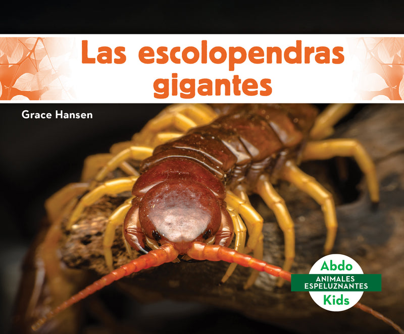 Las escolopendras gigantes (Giant Centipedes)
