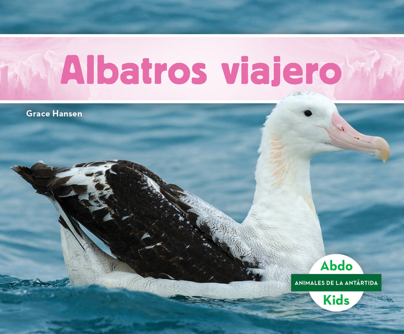Albatros viajero (Wandering Albatross)