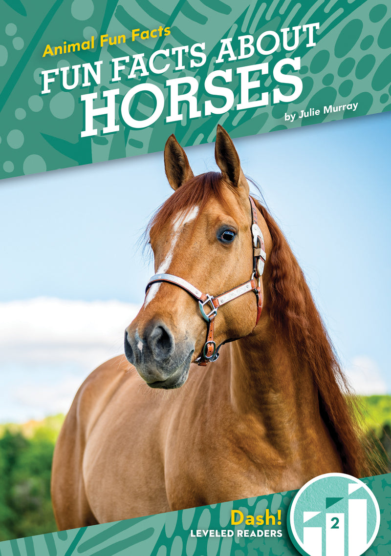 Fun Facts About Horses