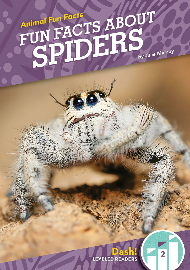 Fun Facts About Spiders