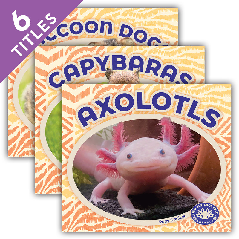 Odd but Adorable Animals (Set)