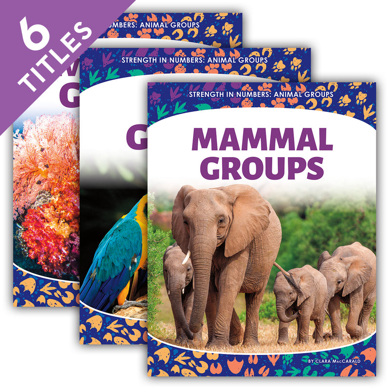 Strength in Numbers: Animal Groups (Set)
