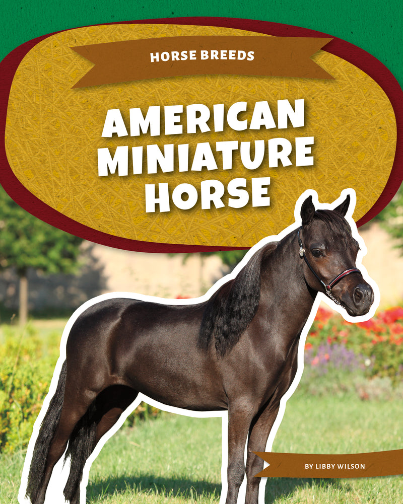 American Miniature Horse