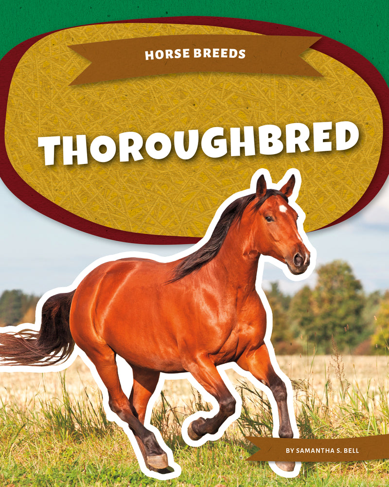 Thoroughbred