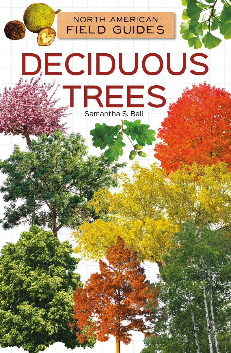 Deciduous trees