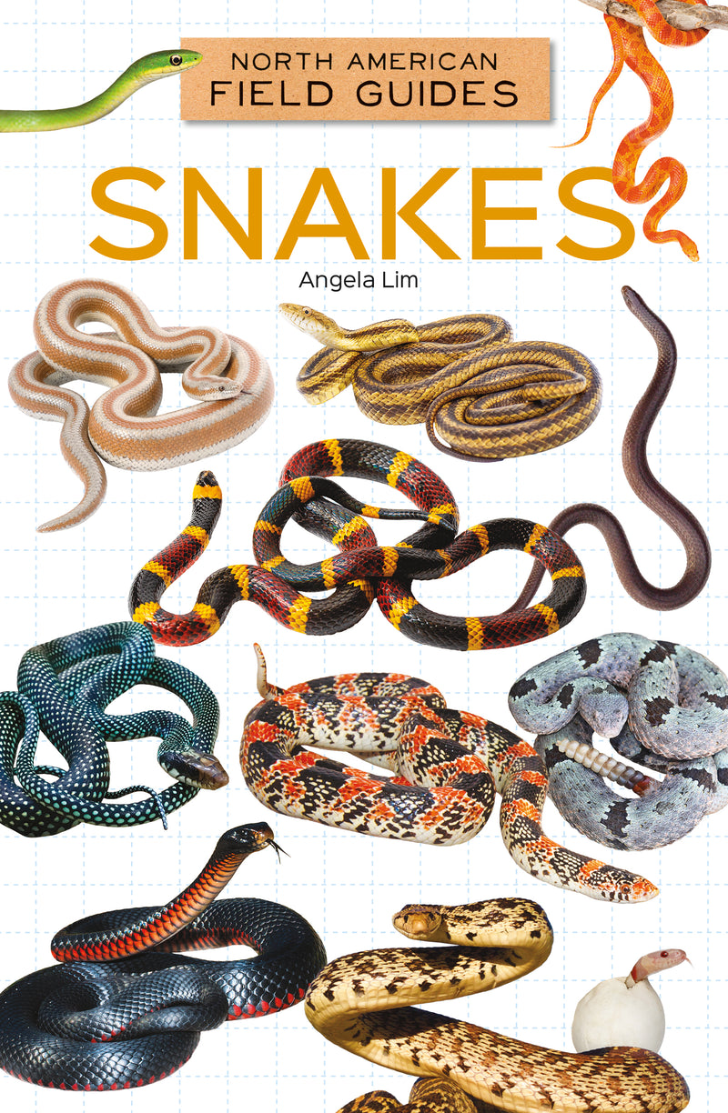 Snakes