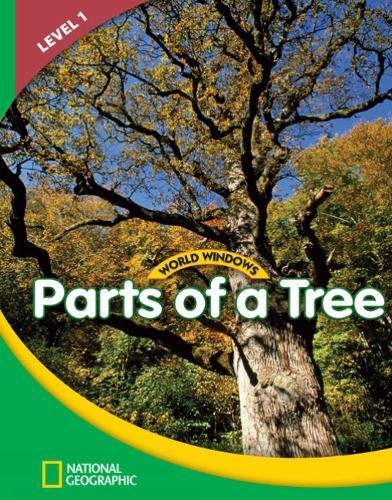 World Windows 1 (Science): Parts Of A Tree