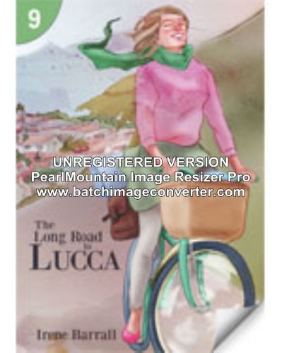 The Long Road to Lucca: Page Turners 9 (25-Pack)