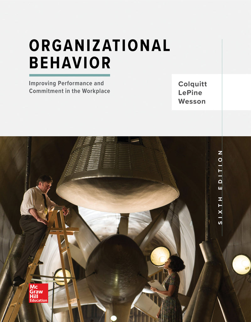 Organizational Behavior Improving Performance & Commitment In The Workplace 6e