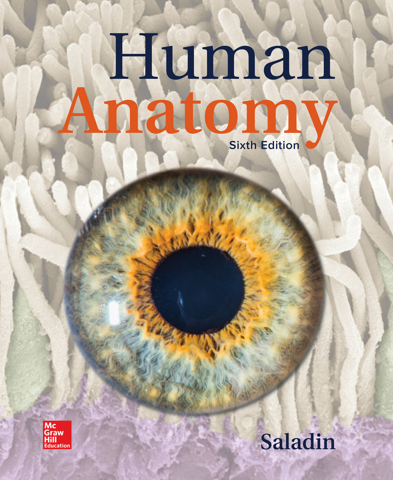 Visuals For Saladin Human Anatomy Illustrations Only 6e
