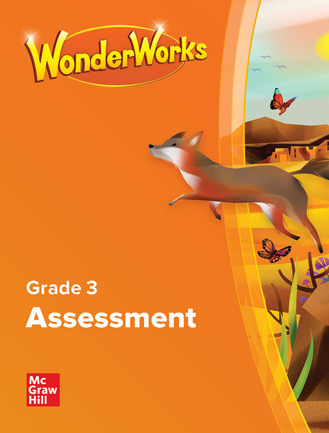 Wonderworks Assessment Blm Grade 3 Na