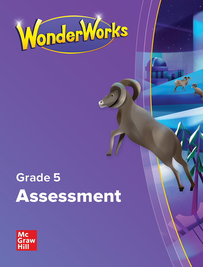 Wonderworks Assessment Blm Grade 5 Na