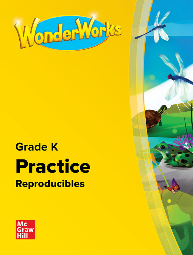 Wonderworks Practice Book Grade K Na