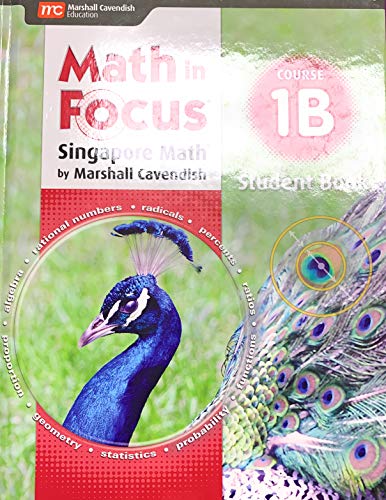 2018 Math in Focus (STA) Student Edition Volume B Course 1