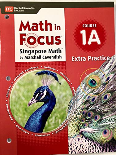 Math in Focus (STA) Extra Practice Book Volume A Course 1