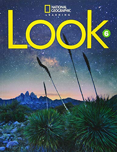Look 6