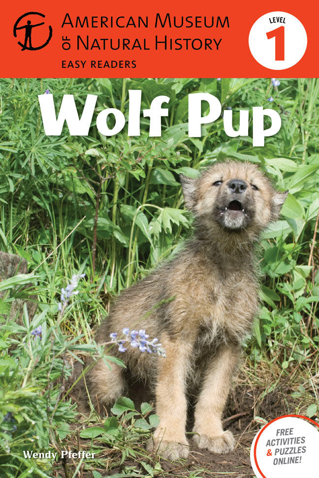 Wolf Pup