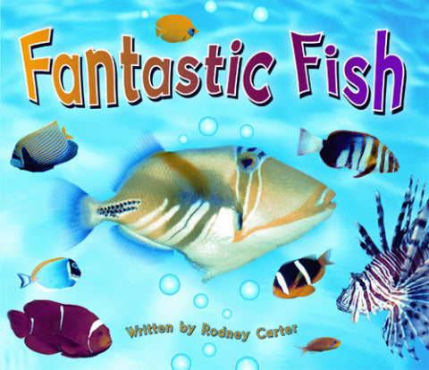 Gear Up Level B Fantastic Fish 6 Pack