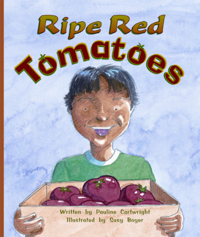 Gear Up Level I Ripe Red Tomatoes 6 Pack