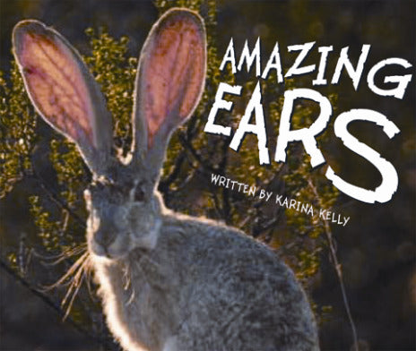 Gear Up Level I Amazing Ears 6 Pack
